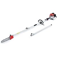 Gas Powered Pole Saw, 21.2CC 
