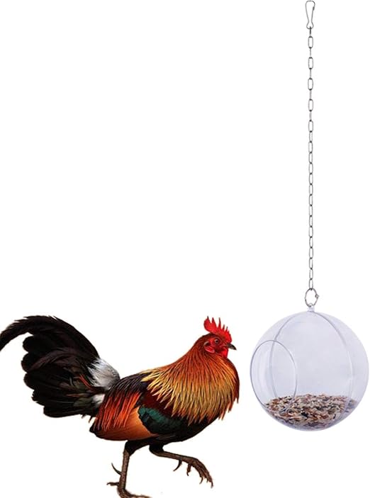 treat ball for chickens