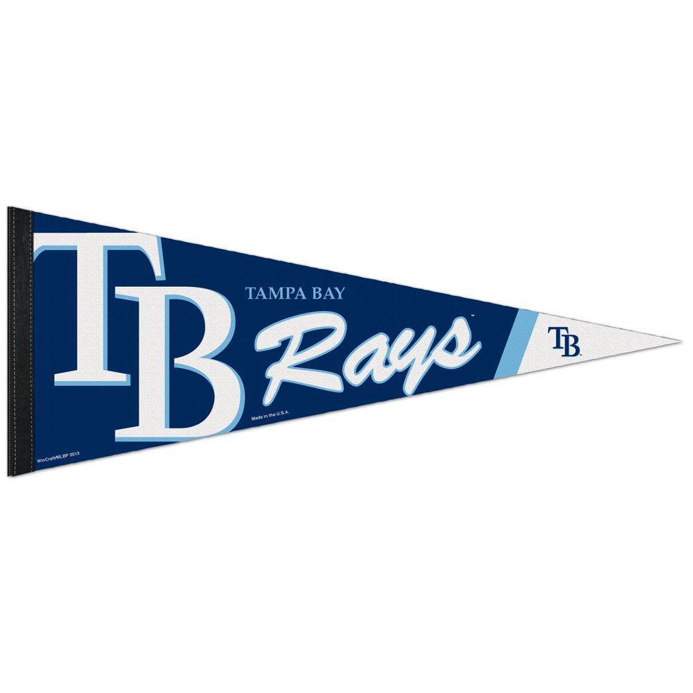 WinCraft Tampa Bay Rays Premium MLB Pennant