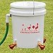 Automatic Chicken Waterer Kit (Bucket NOT Included) - New Version Cups (from Holland) - Auto Float Valve (Made in USA) (4 Cups)
