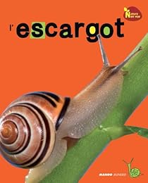 L' escargot