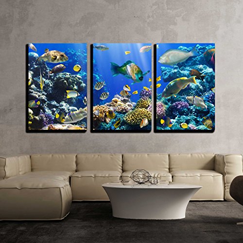 Fish Wall Art Kritters in the Mailbox Fish Wall Art Pieces
