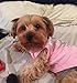 EXPAWLORER Princess Fashion Pet T-Shirt Small Dog Cat Vest Clothes Puppy Costumes for Chihuahua Yorkshire Terrier Pink M