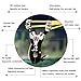 YZXLI Professional Outdoor Hunting Stainless Steel Slingshot (Slingshot)