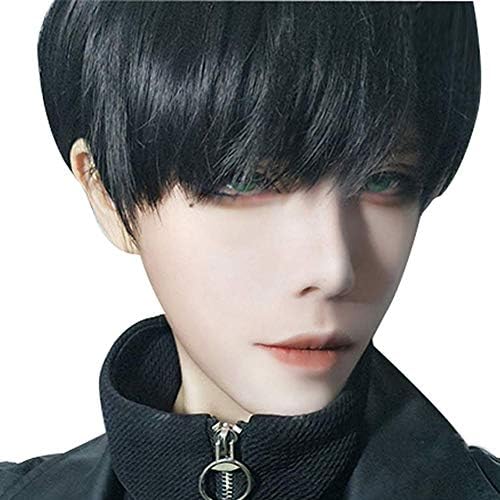 Iozo メンズ ウィッグ ショート フルウィッグ ミディアム 黒 かつら エクステ Mens Wig 男装 学生 面接 仕事
