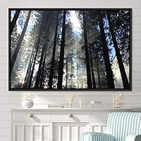 Framed Canvas Wall Art Rustic Woods Brown Dark Dramatic Forest Group Nature Photography Realism - 16x24 inches