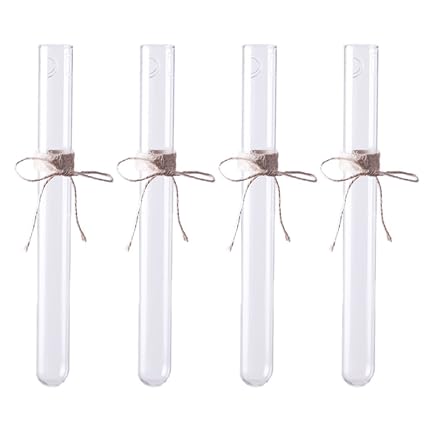 Magideal 4 Pieces Crystal Glass Test Tubes Vase Flower Pots For