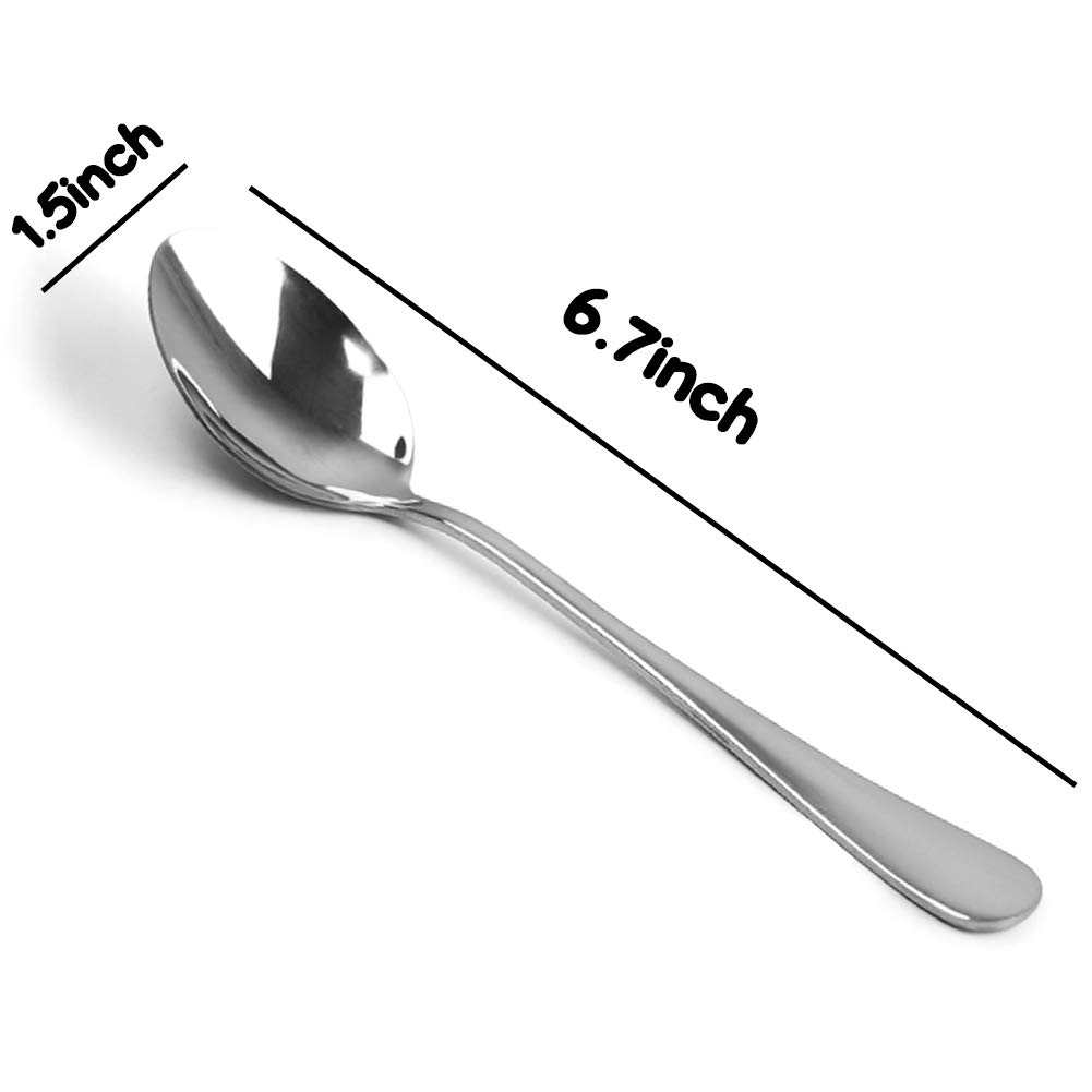 Stainless Steel Teaspoon,6.7-Inches