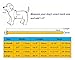 Aolove Basic Classic Padded Leather Pet Collars for Cats Puppy Small Medium Dogs (Black, Small)