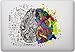 eDesign Left Right Brain Vinyl Skin Decal Sticker for Laptop | Any Smooth Surface