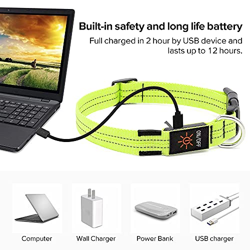 Candofly Rechargeable Light Up Dog Collars - Nylon Breathable LED Dog Collar Double Lights Glowing Pet Collars Perfect for Night Walking Keep Your Dogs & Cats Be Safe (Green, Small)