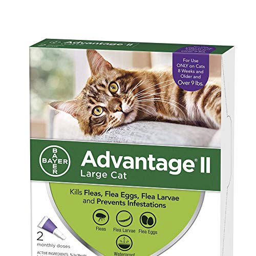 3 Advantage+Flea+Control+Large+Cats