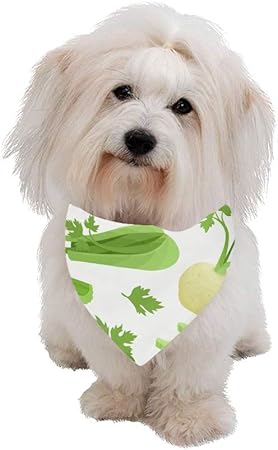 Amazon Com Vnaskl Easter Pet Dog Cat Bandana Celery Vegetable