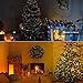 Ylife 2 Pack Fairy Light, 8 Modes String Lights Waterproof, 16.4Ft 50 LED Mini Lights, USB Interface Remote Control, Decorative Copper Wire Mini Lights for Festival Party