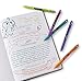 Paper Mate Flair Kit (33)