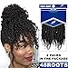 2 Packs Spring Twists Synthetic Crochet Hair Extensions 12 inch 24 strands/pack Ombre Crochet Passion Twist Braids Fiber Fluffy Curly Twist Braiding Hair Bulk (4#)