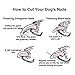 Dog nail clippers for dog, 2017 NEW TRENDINGDog Nail Clippers Professional - Nail Clippers Large Dog Safety Guard to Avoid Over-cutting Nails & Free Nail File trimmer to smooth out Nails