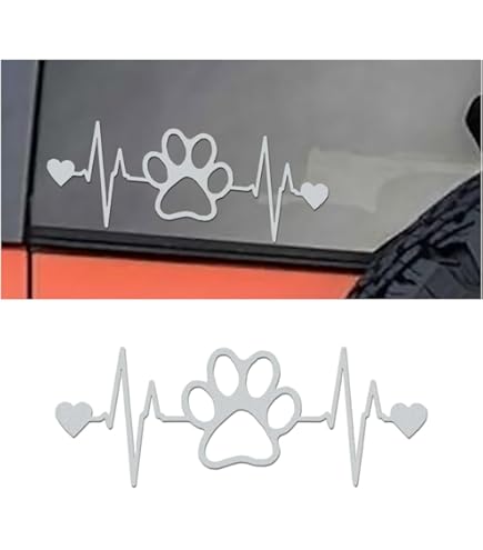 Leonberger: Karakter, prijs, gezondheid en meer