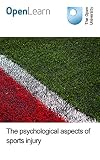 The psychological aspects of sports injury