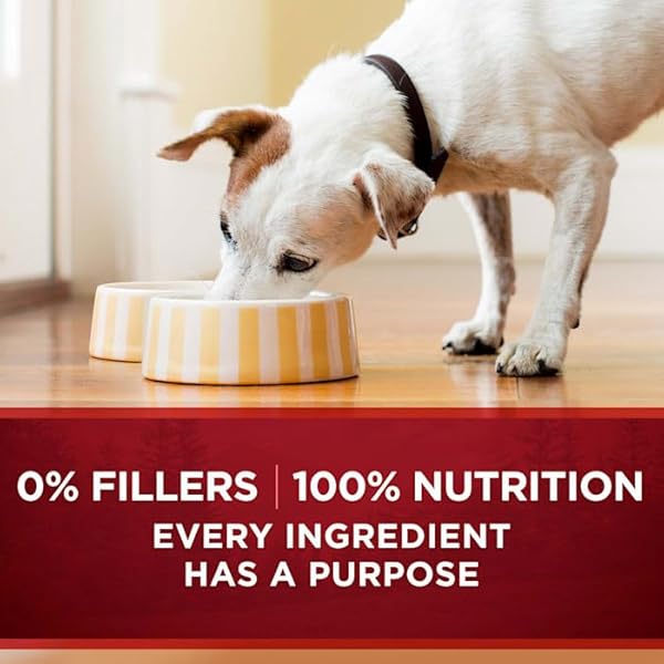 PURINA ONE NATURAL SMARTBLEND TRUE INSTINCT TENDER CUTS GRAVY WET DOG FOOD VARIETY PACK, 13 OZ., COUNT OF 6