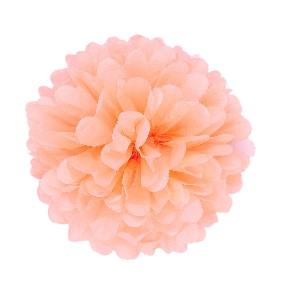JZK 10pcs 25cm Coral Tissue Paper Hanging pom poms Flower Ball Decorative Pompom Party Decorations for Wedding, Birthday, Baptism, Baby Shower, Holy Communion, Girls Bedroom