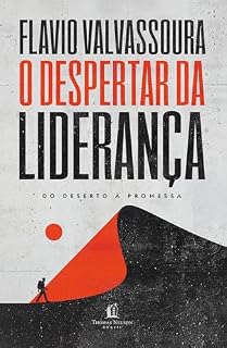 Livro O despertar da liderança: Do deserto à promessa