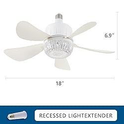 Dalouguan Socket Fan Light with Remote, 18" Clear