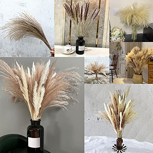 60pcs Natural Dried Pampas Grass 15Pcs White Pampas & 15Pcs Brown Pampas & 30Pcs Pampas Reeds, Beautiful Pampas Grass Decor, Ideal for Home Decor, Wedding Decor (Three-Colors, 60Pcs)
