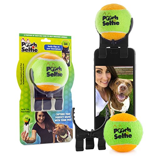 Pet Supplies, Dogs, Toys, Squeak Toys