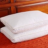 Set of 2, Soft Down and Feather Pillow with 2