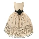 Kids Dream Girls Champagne Floral Embroidered Flower Dress