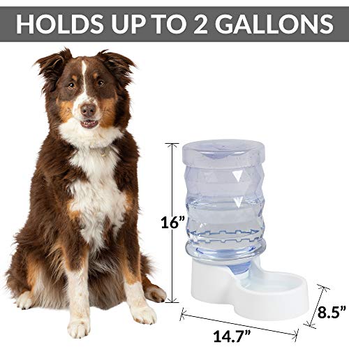 large gravity dog waterer