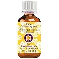 dève herbes Pure Chaulmoogra Oil (Hydnocarpus wightiana) Cold Pressed 50ml (1.69 Oz)
