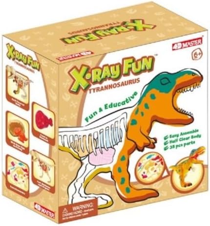 X-Ray Fun Tryranosaurus Model