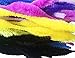 Carykon Fuzzy Bump Chenille Stems Pipe Cleaners, Pack of 100 (Mix)