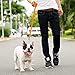 Downtown Pet Supply - Long Dog Leash - Dog Training Leash - Recall & Obedience Dog Training Tools - Nylon - 30 ft - Orange Dog Leash