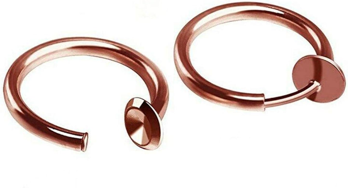 影 おそらく 満員 ピアス シンプル 小さい F Bird Jp