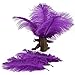 10pcs High Quality New Style Real Natural 7-10 Inch Ostrich Feathers Great Decorations (Purple)