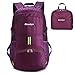 BONLEX Foldable Backpack Packable Travel Backpack - 35L Durable Ultra Lightweight Water Resistant Packable Daypack Handy for Hiking,Camping,Traveling,Backpacking Outdoor Sports (Purple)