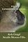 Livro Ética & Experimentação Animal