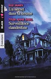Un secret dans la brume - Surveillance clandestine