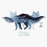 Zodiac Cat - Gemini Sticker Bumper Sticker Vinyl Decal 5