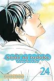 Kimi ni Todoke: From Me to You, Vol. 24