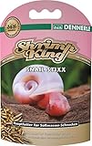 Shrimp King Snail Stixx