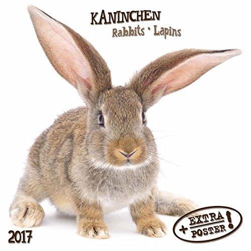 Rabbits (171092) by Tushita Publishing
