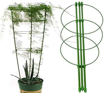 Amazon Co Jp Szb 園芸支柱 支柱パーツ 観葉支柱 鉢植え 観葉支柱 フラワースタンド 誘引作業 文房具 オフィス用品