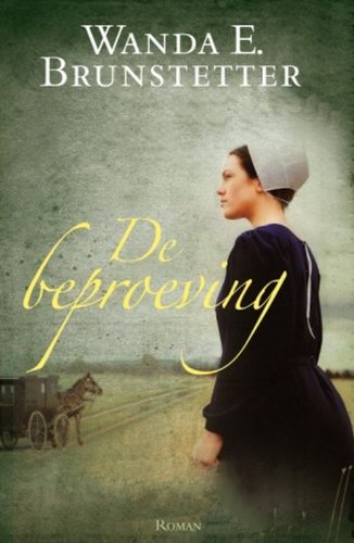 De beproeving: roman (Holmes county)