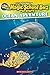 Scholastic Reader Level 2: Magic School Bus: Ocean Adventure