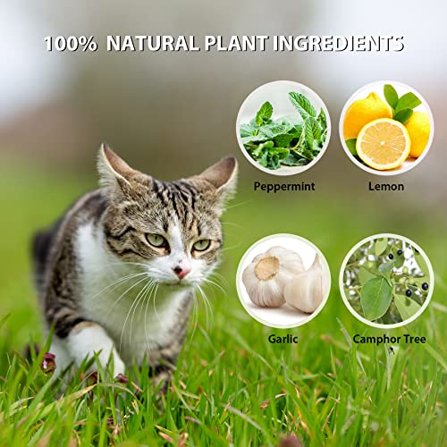 MAGIC CAT Cat Repellent Outdoor, 10 Pack Natural Peppermint Oil Cat