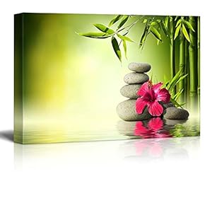 Rocks and a Hibiscus Flower Over a Lake...